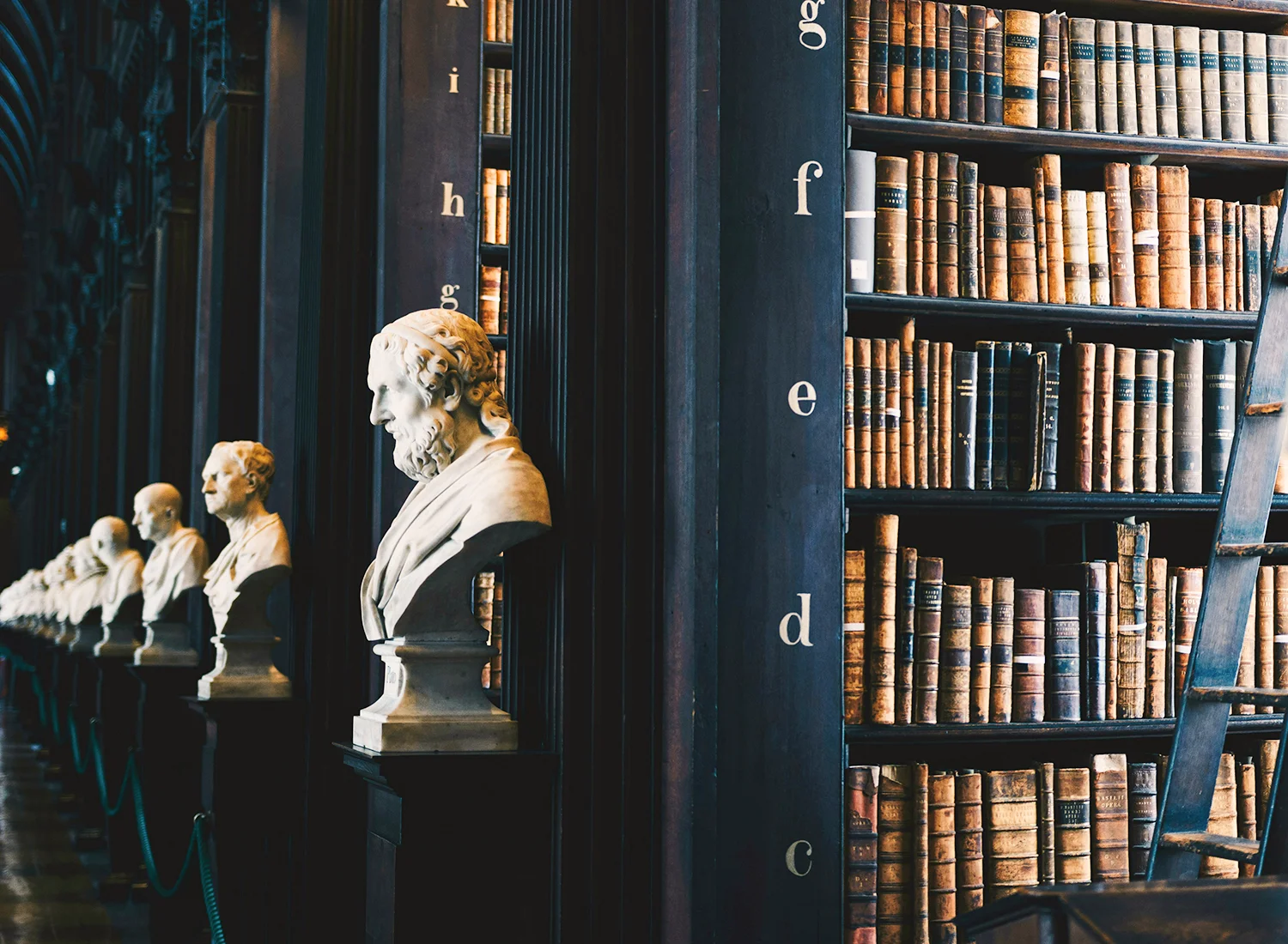 Visuel - Postulation Bustes alignés devant les rayonnages d'une bibliothèque de livres anciens (photo © Giammarco Boscaro - Unsplash)